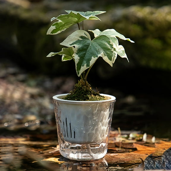 HomeKingdee Self Watering Plant Pots, Clear Flower Pots with Drainage Holes, Tray and Rope, Plastic Self Watering Planters for Indoor Outdoor Garden Plants, African Violet, Herbs