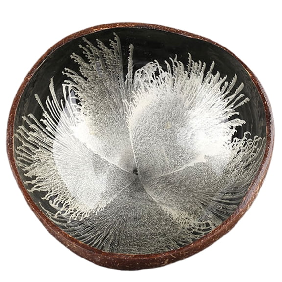 HomeLife Splash Ink Coconut Shell Candy Storage Bowl Container Desk Ornament Home Decor
