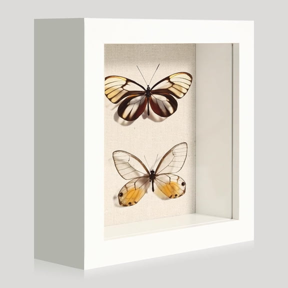 HomeMate 5x5 Small Shadow Box Picture Frame Display Case with Soft Linen Back, White Wooden Memory Shadow Box Frame with Tempered Glass Cover for Wall or Tabletop Display