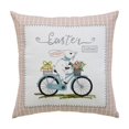 thumbnail image 1 of 17" X 17" Light Pink Checkered Easter Bunny on Bicycle Throw Pillow, 1 of 6