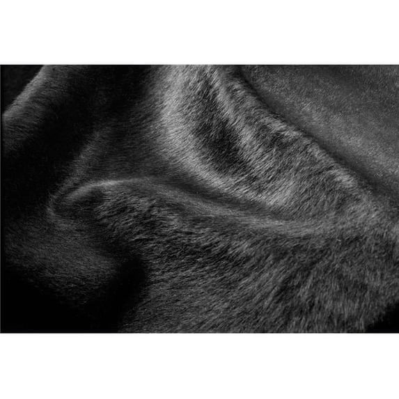 HomeRoots 317310 5 x 7 in. Cowhide Rug - Black