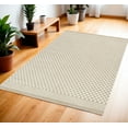 thumbnail image 1 of HomeRoots 572469 4 x 6 ft. Geometric Rectangle Area Rug, Beige, 1 of 5