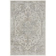 thumbnail image 1 of HomeRoots  4 x 6 ft. Silver Oriental Power Loom Washable Rectangle Area Rug - Silver - 4 x 6 ft., 1 of 1