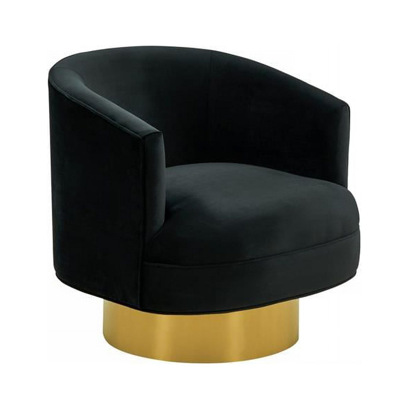 HomeRoots 473636 Modern Velvet Accent Chair, Black & Gold - Walmart.com