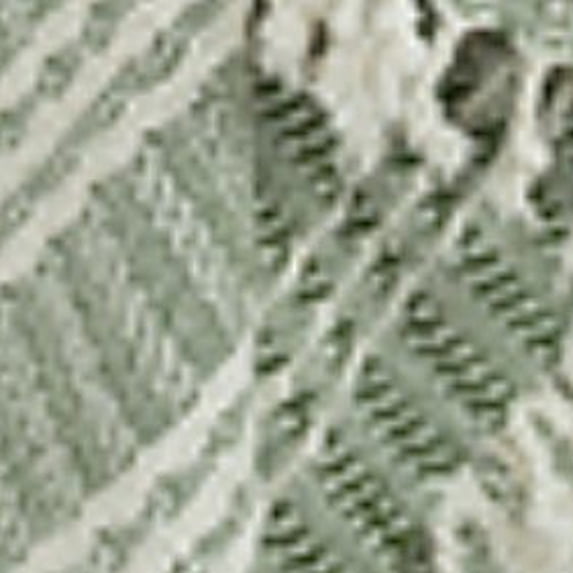 HomeRoots 50 x 50 x 0.5 in. Woven 100 Percent Cotton Throw Blanket - Green