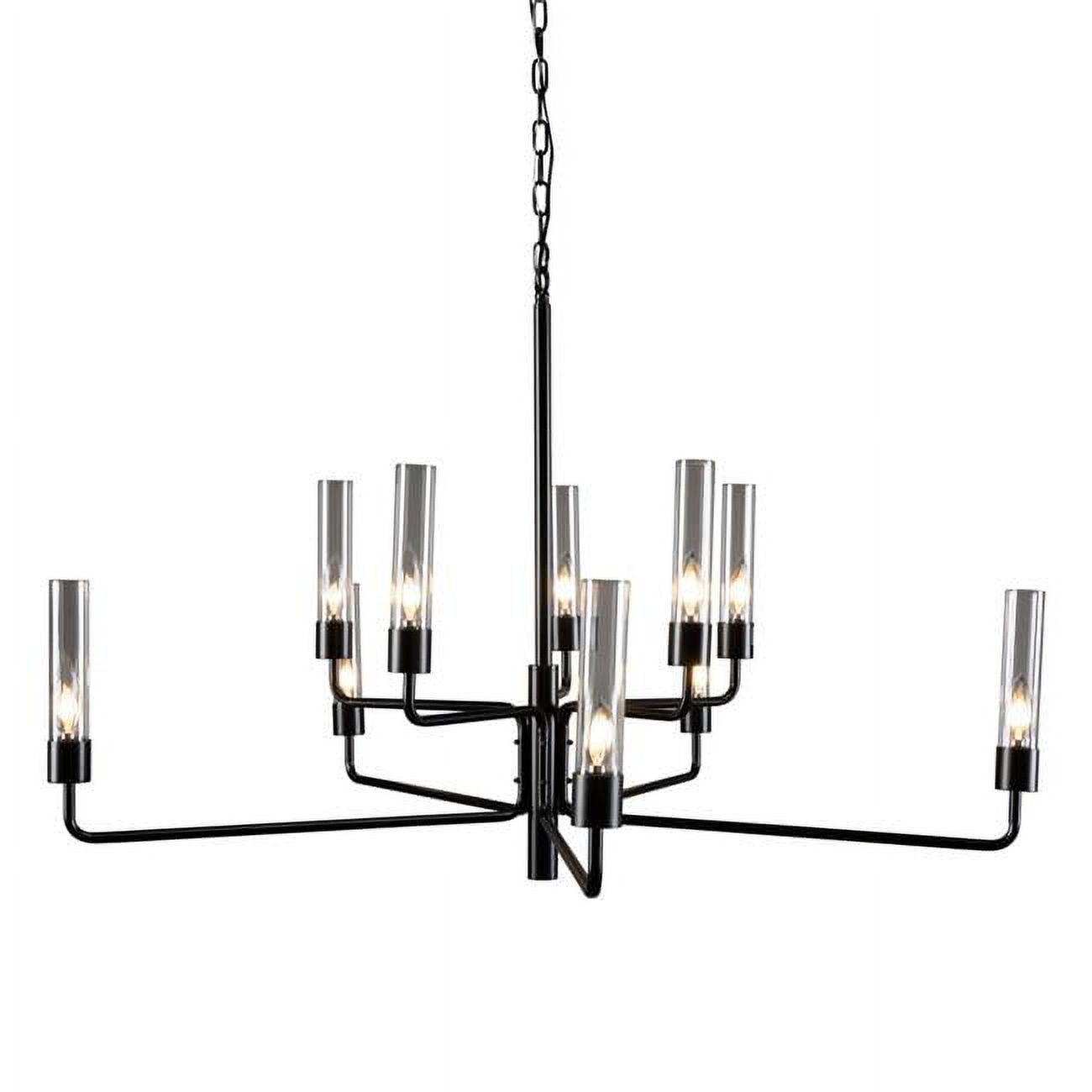 HomeRoots 522834 Chandelier Ten Light Iron & Glass Dimmable Ceiling ...