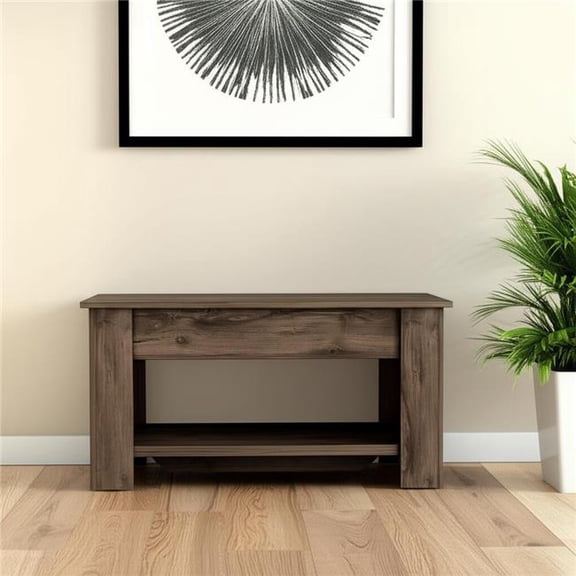 HomeRoots 535166 40 in. Dark Brown Storage Bench with Flip Top