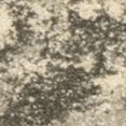 thumbnail image 1 of 8' X 11' Grey Ivory Beige And Taupe Oriental Power Loom Stain Resistant Area Rug, 1 of 5