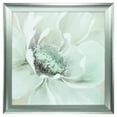 thumbnail image 1 of 28" X 28" Silver Frame Winter Blooms I, 1 of 2