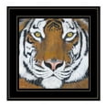 thumbnail image 1 of HomeRoots Tiger Gaze 2 Black Framed Print Wall Art, 1 of 3