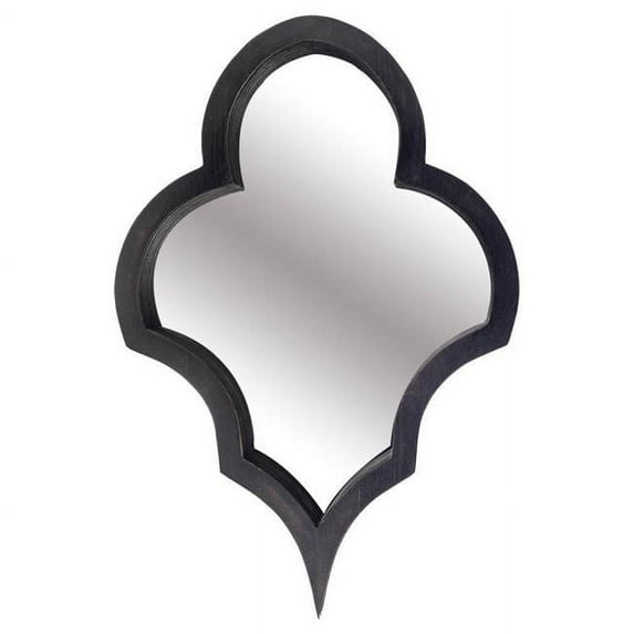 HomeRoots Wood Frame Wall Mirror, Black