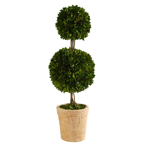 HomeStock 2.5Ft. Preserved Southwestern Sensibilities Double Ball Topiary Tree In Decorative Planter