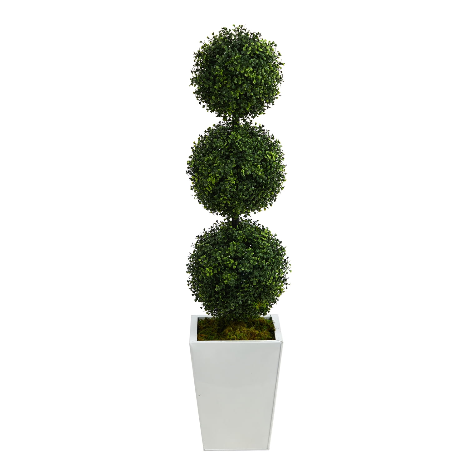 46" Triple Boxwood Topiary in White Planter