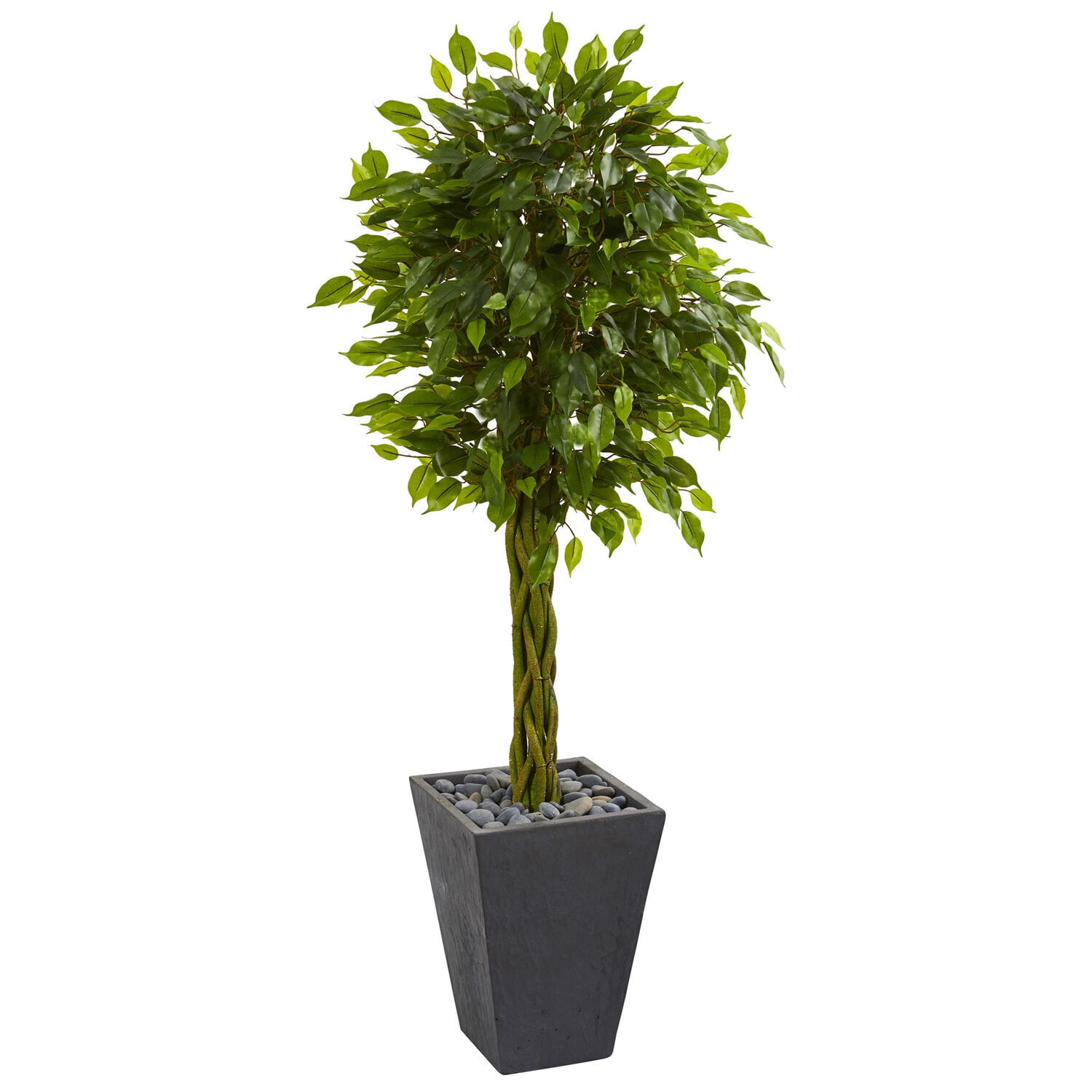 5ft Green Braided Ficus Artificial Tree in Slate Planter
