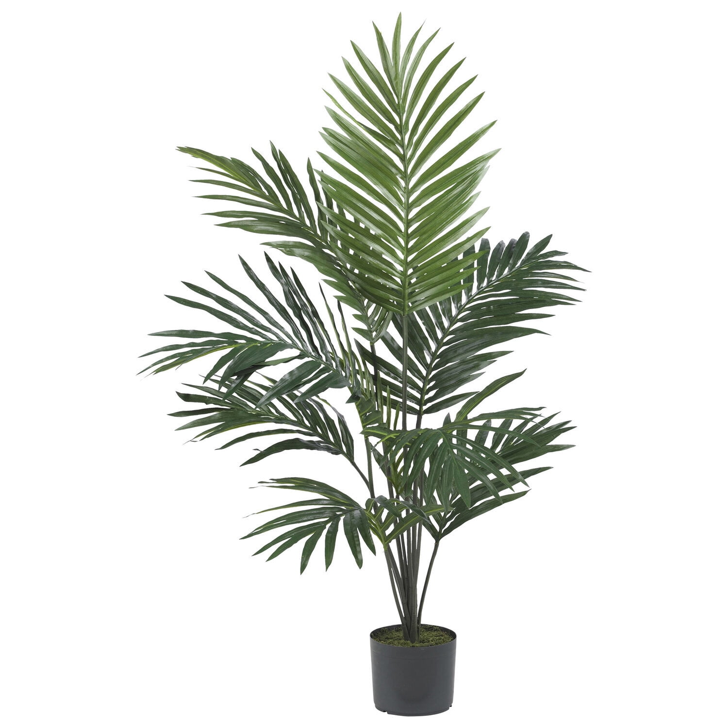 HomeStock 5Ft. Old World Charm Palm Silk Tree