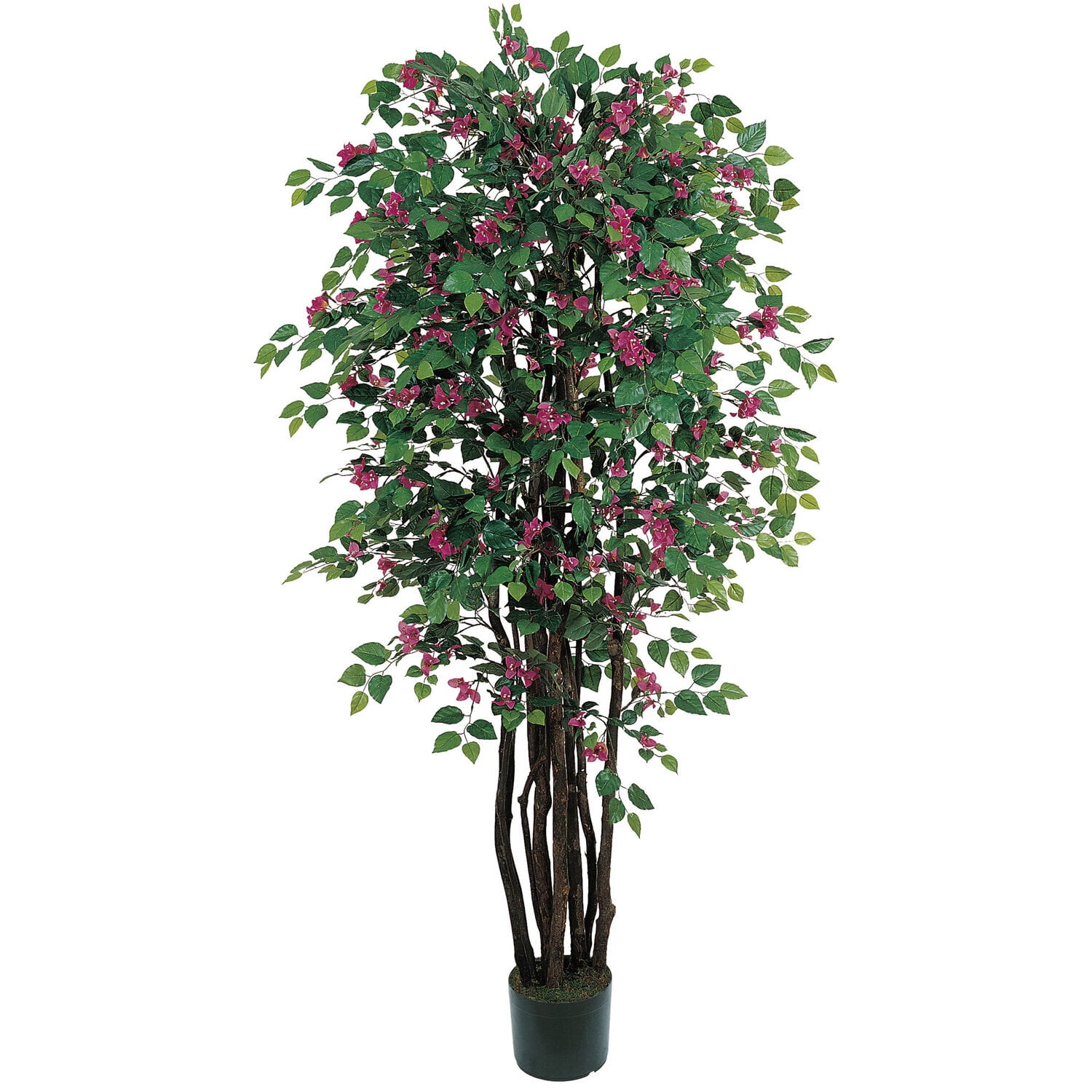 6-Foot Green and Pink Silk Bougainvillea Tree in Black Plastic Pot