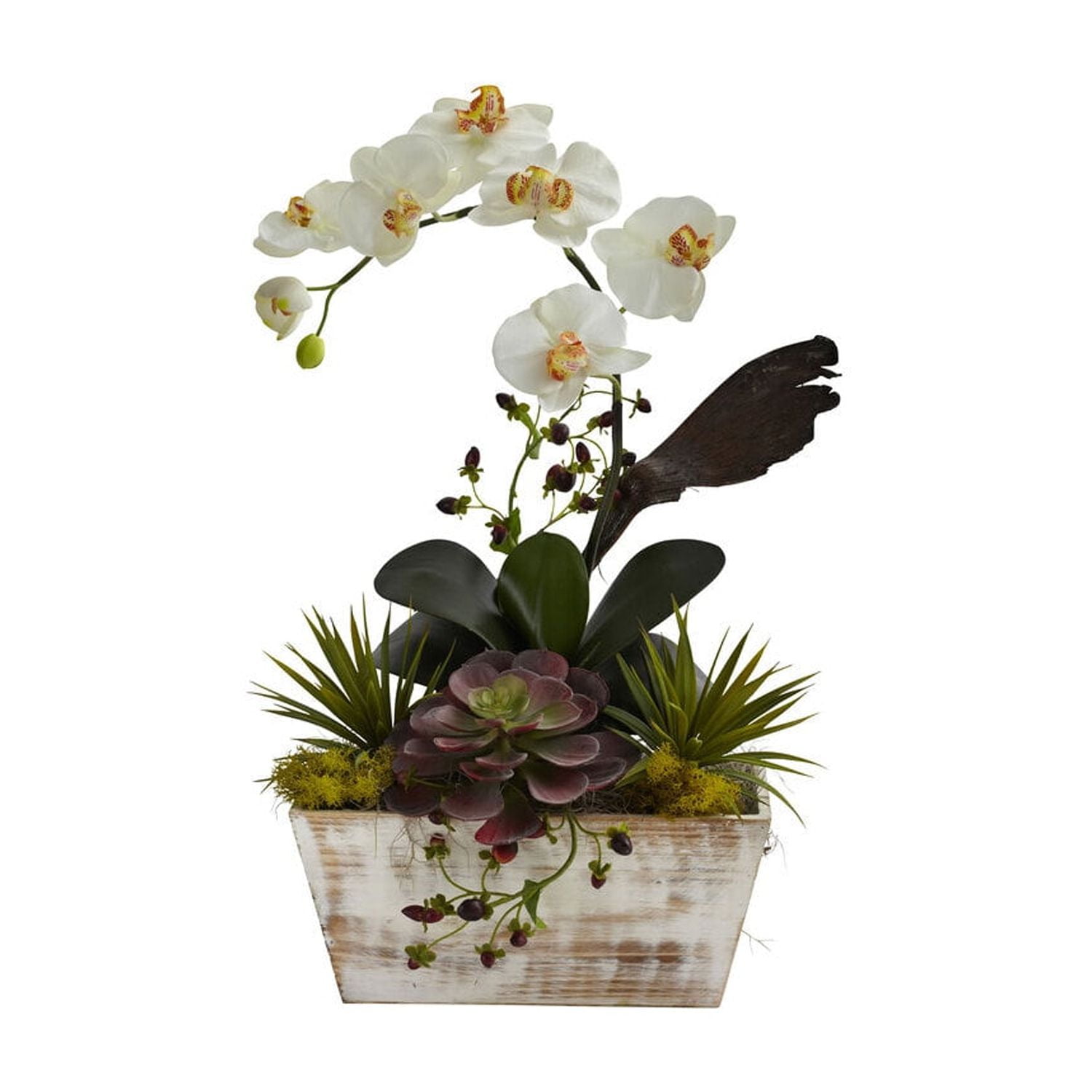 White Orchid and Multicolor Succulent in Whitewash Planter
