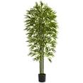 thumbnail image 1 of HomeStock Asian Aesthetics 6Ft. Bamboo Tree Uv Resistant (Indoor/Outdoor), 1 of 4