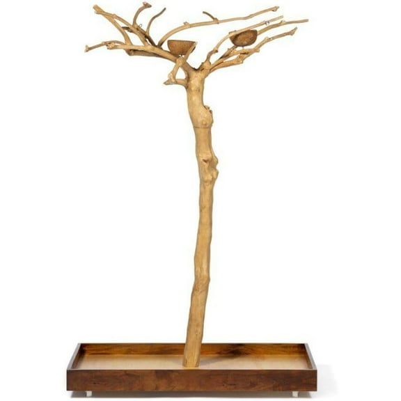 HomeStock Asian Fusion CoffeeWood Tree-Style Parrot Play Stand with Natural Design, Durable Perches, Feeding Bowls, and Spacious Activity Area for Birds-Size:Small