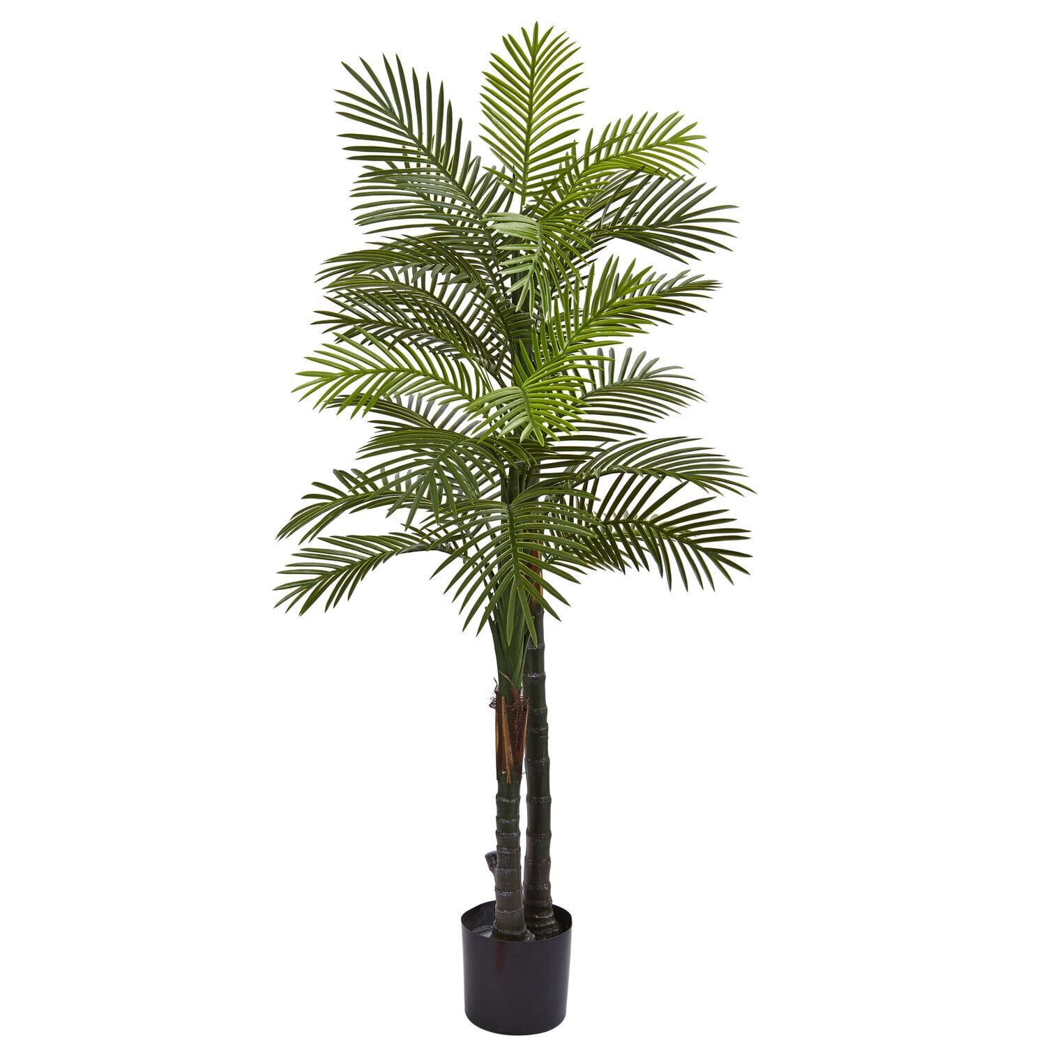 5.5ft Green Silk Double Robellini Palm Tree