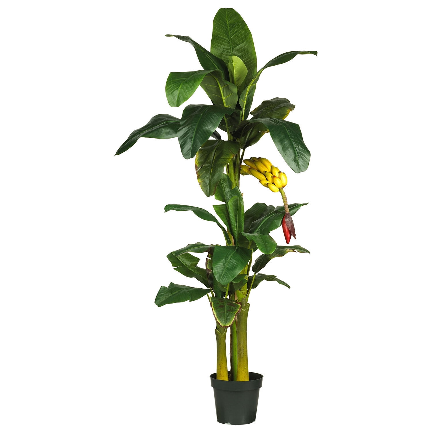 6ft Green Silk and Plastic Triple Stalk Banana Tree