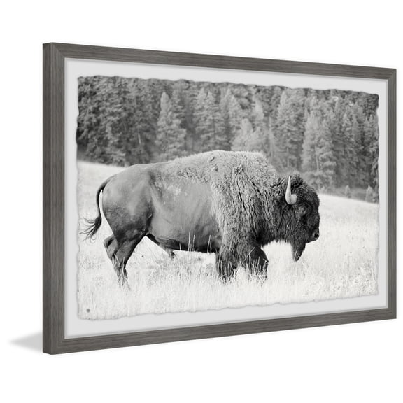 Contemporary Buffalo Grazing Wall Art Print - Framed Home Decor, Ready to Hang, 36x24 Inch