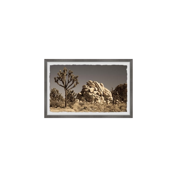HomeStock Global Greatness Cactus and Rocks Framed Painting Print, Wall Art, Canvas Print, Framed Prints, Wall Hanging Prints for Living Room - 12"L x 1.5"D x 8"H