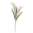 thumbnail image 1 of HomeStock Gothic Glamour 30In. Sorghum Harvest Artificial Flower (Set Of 12), 1 of 3