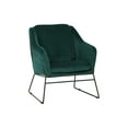 thumbnail image 1 of HomeStock Gothic Grace Velvet Accent Armchair, 1 of 5