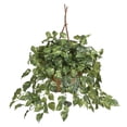 thumbnail image 1 of HomeStock Medieval Majesty Hanging Basket Silk Plant, 1 of 10