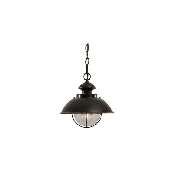 Pendant Light - Bronze Outdoor LanternWeatherproof Steel & GlassAdjustable HeightEdison Bulb Compatible