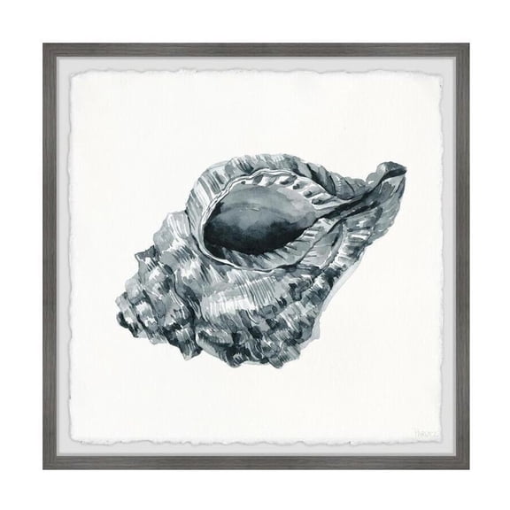 HomeStock Naturally Nice Metallic Seashell Framed Painting Print, 12" x 12", Contemporary Wall Decor: Abstract, Digital Art Prints, and Modern Styles for Your Home
