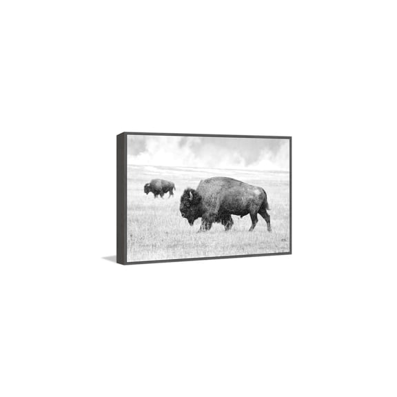 HomeStock Renaissance Rhapsody Buffalo Pair Floater Framed Painting Print on Canvas, Wall Art, Canvas Print, Framed Prints, Wall Hanging Prints for Living Room - 36x1.5x24 inches