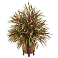 thumbnail image 1 of HomeStock Renaissance Rhapsody Grass Arrangement, 1 of 3