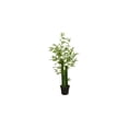 thumbnail image 1 of HomeStock Rococo Romance 5Ft. Green Bamboo Artificial Tree, 1 of 1