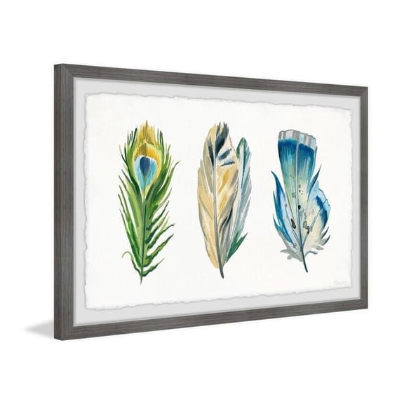 HomeStock Rustic Recluse Feathers Framed Painting Print, Contemporary Wall Decor: Abstract, Digital Art Prints, and Modern Styles for Your Home