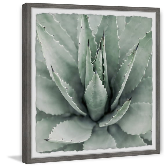 Aloe Vera Leaf Print|Rustic Framed Wall Art|Botanical Home Decor|Succulent Painting