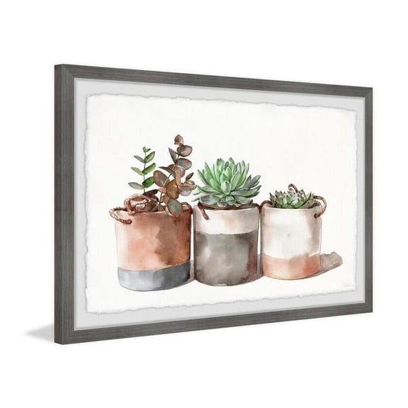 HomeStock Rustic Romance Cactus Cans Framed Painting Print, Contemporary Wall Decor: Abstract, Digital Art Prints, and Modern Styles for Your Home