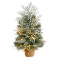 thumbnail image 1 of HomeStock Suburban Soiree 2Ft. Winter Frosted Artificial Christmas Tree With 35 Led Lights In Burlap Base, 1 of 7