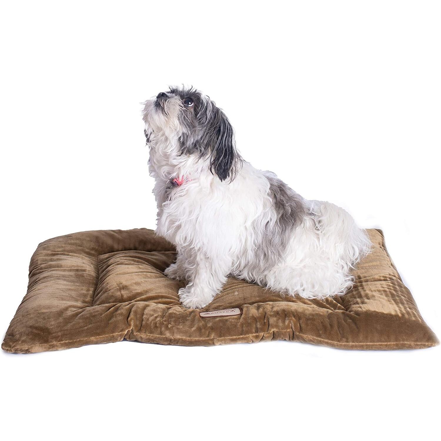 Large Velvet Dog Bed - Rectangular Pet Mat with Cushion - Soft Washable Cover - 27x19x2