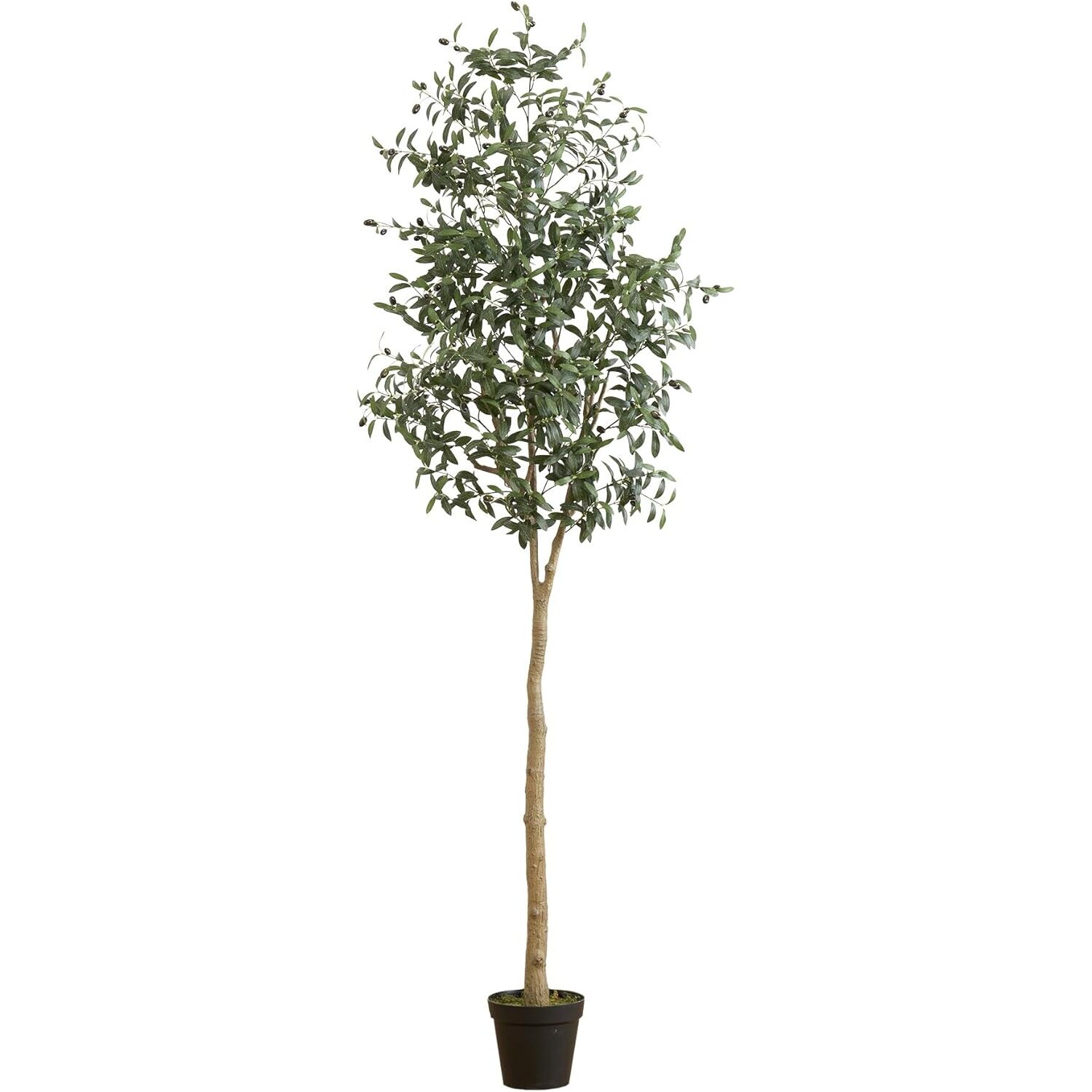 HomeStock Timeless Trends 8Ft. Artificial Olive Tree