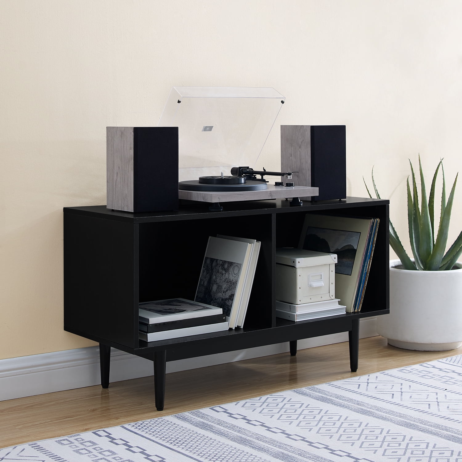 HomeStock Seaside Serenity Record Storage Rectangular Console Cabinet ...