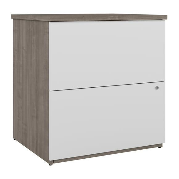 HomeStock Universel 28W Standard 2 Drawer Lateral File Cabinet In Silver Victorian Virtue & Pure White
