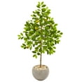 thumbnail image 1 of HomeStock Victorian Vintage 54In. Lemon Artificial Tree In Sand Colored Planter, 1 of 2