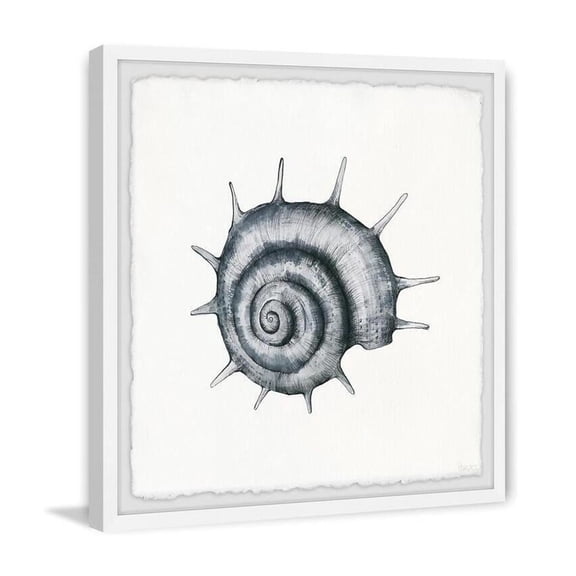 HomeStock Zen Zone Spiky Seashell Framed Painting Print, 18" x 18", Contemporary Wall Decor: Abstract, Digital Art Prints, and Modern Styles for Your Home