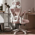 thumbnail image 1 of HomeZeer Desk Chairs with Wheels, Mesh Office Chair with Lumbar Support, Ergonomic High Back Office Chair with Adjustable Headrest, Task Chair Flip-up Arms, Executive Office Chair Home Office, Pink, 1 of 12