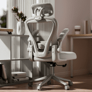 HomeZeer Desk Chairs with Wheels, Mesh Office Chair with Lumbar Support, Ergonomic High Back Office Chair with Adjustable Headrest, Task Chair Flip-up Arms, Executive Office Chair Home Office, Gray