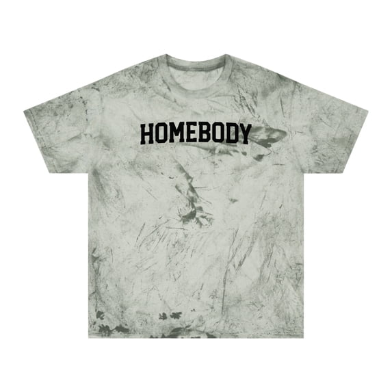 Homebody Introvert Home Shirt Gifts Color Blast Tshirt Tee Crew Neck