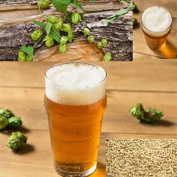 Homebrewstuff 1 Gallon Table Top Nano-Brew Speakeasy American Cream Ale (Partial Mash) Recipe