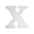 thumbnail image 1 of Homeford Craft EPS Foam Symbol Cut Out "X", 4-3/4-Inch, 12-Count, 1 of 1